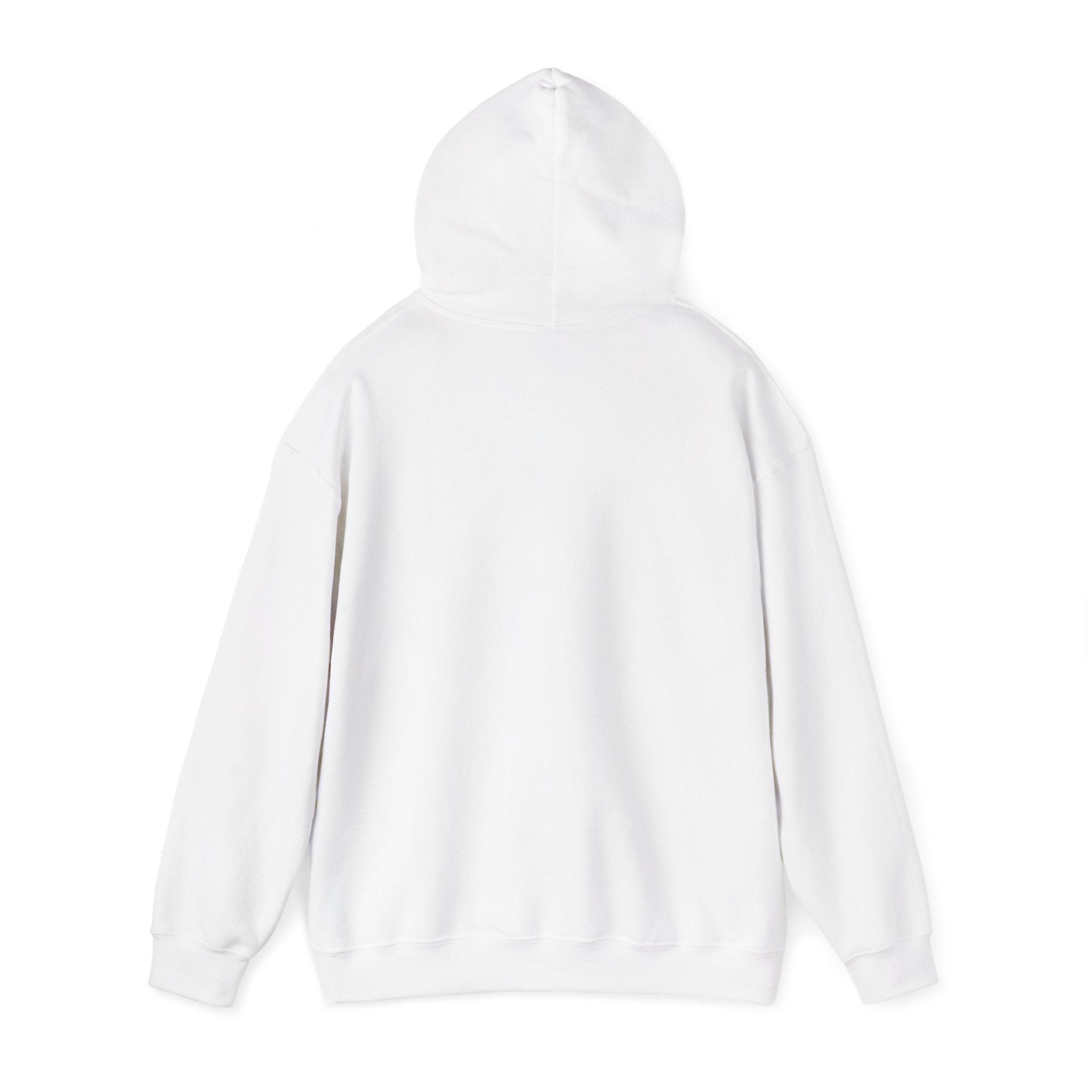 Sean Paul X Da Vinci Hoodie